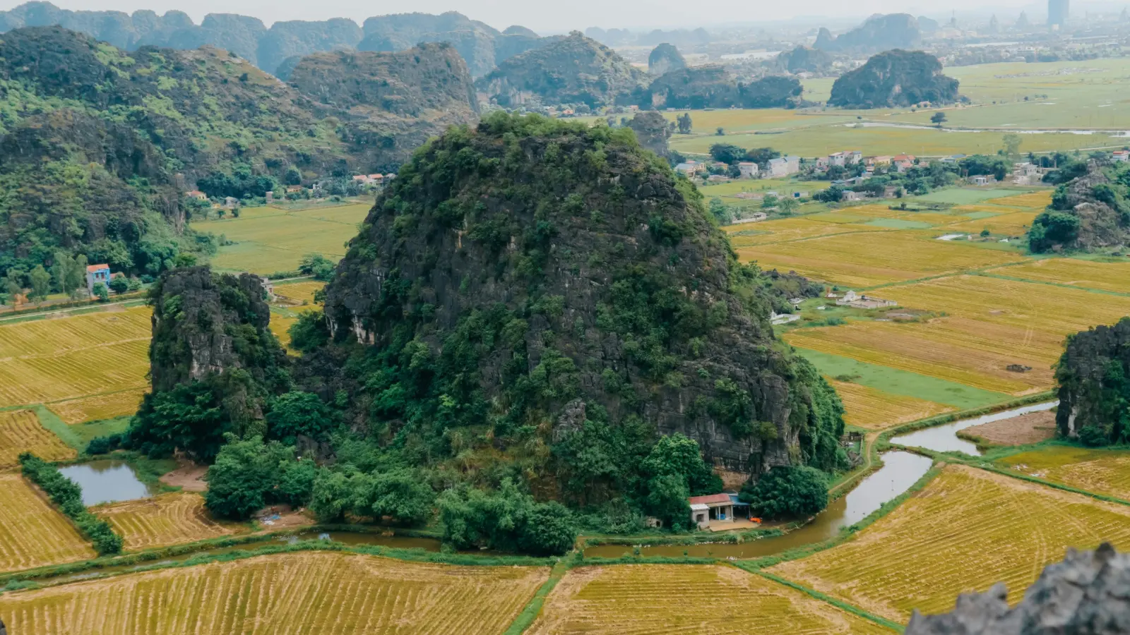 Ảnh minh họa mẫu web Homestay Ấm Cúng